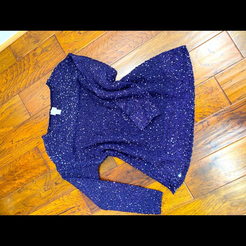 Chico beautiful plum sparkly sweater